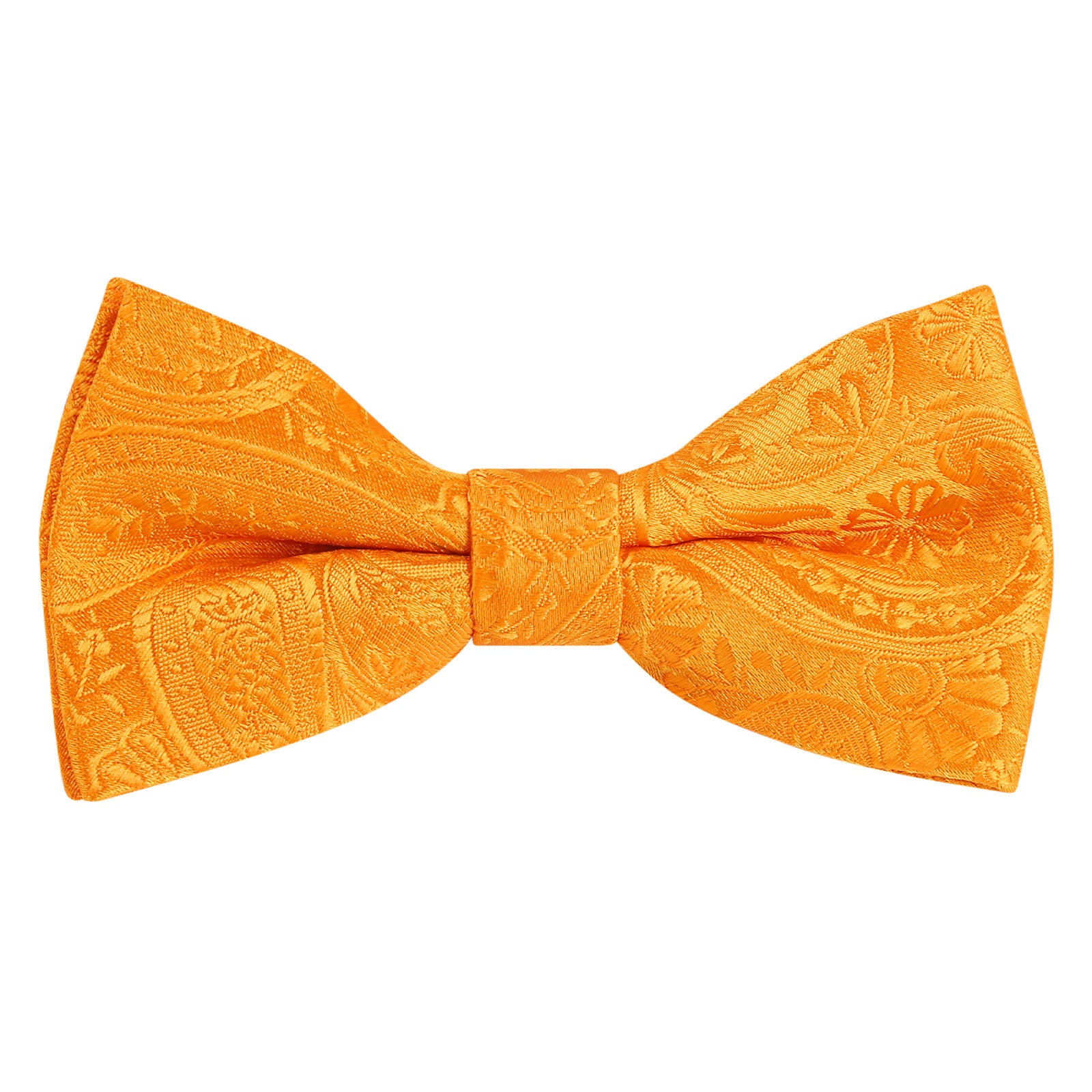 Alizeal Boy's Classic Paisley Bow Tie Pre-tied, 017