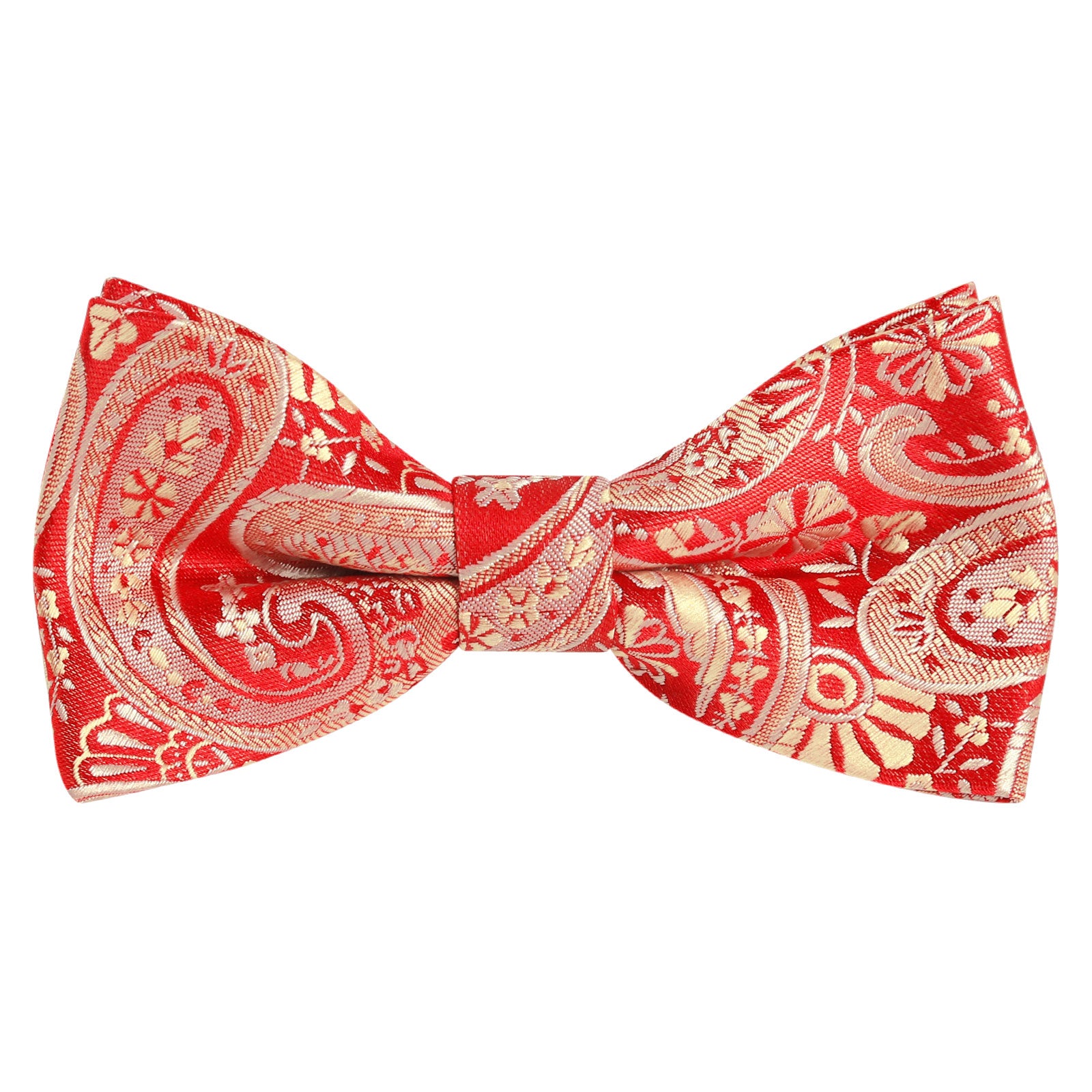 Alizeal Boy's Classic Paisley Bow Tie Pre-tied, 017