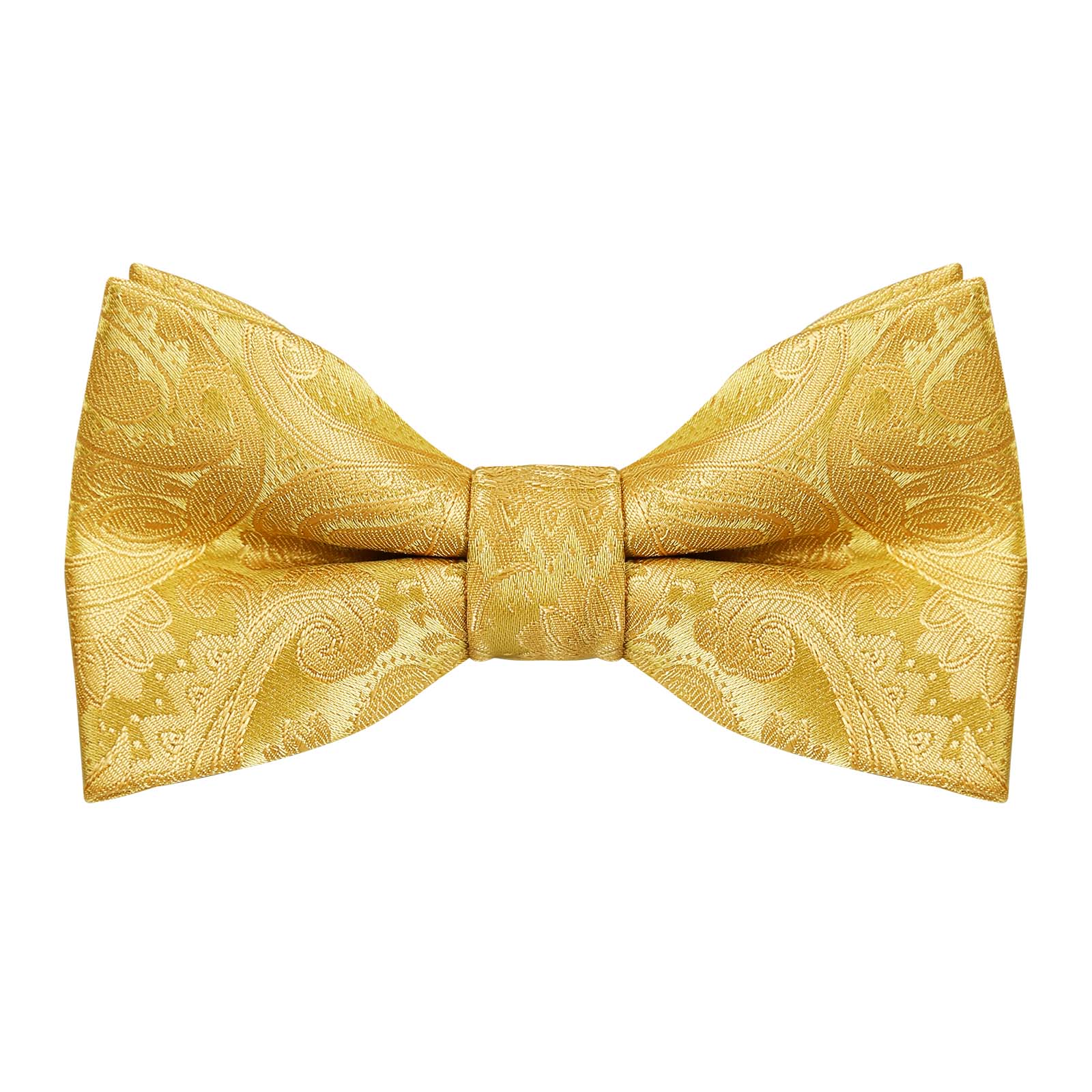 Boys Adjustable Pre-tied Paisley Bow Tie-081