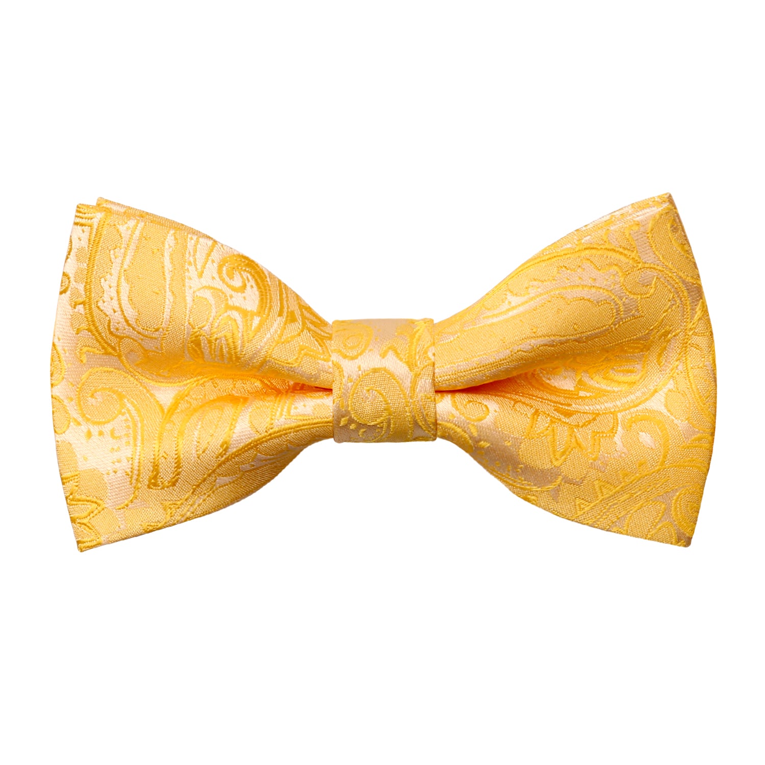 Boys Adjustable Pre-tied Paisley Bow Tie-081