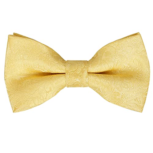 Boys Adjustable Pre-tied Paisley Bow Tie-081