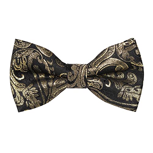 Boys Adjustable Pre-tied Paisley Bow Tie-081