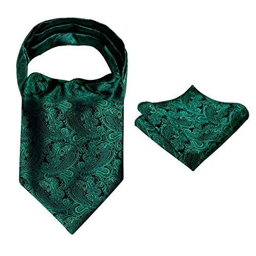 Men's Paisley Ascot Tie Cravat Satin Self Tie and Handkerchief Set, 139